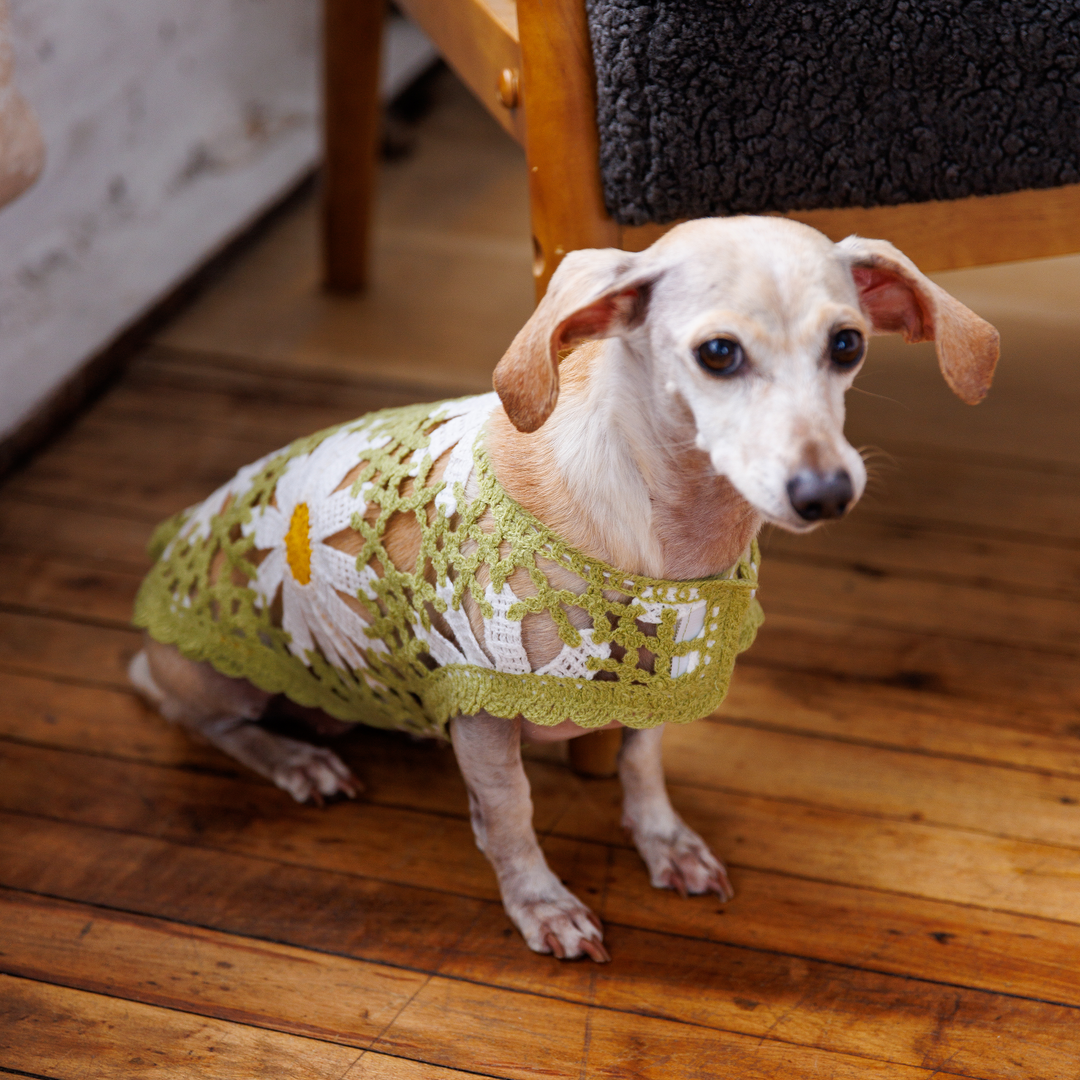 Sunshine Crochet Dog Top, Lightweight Knit Sweater for Small Dogs