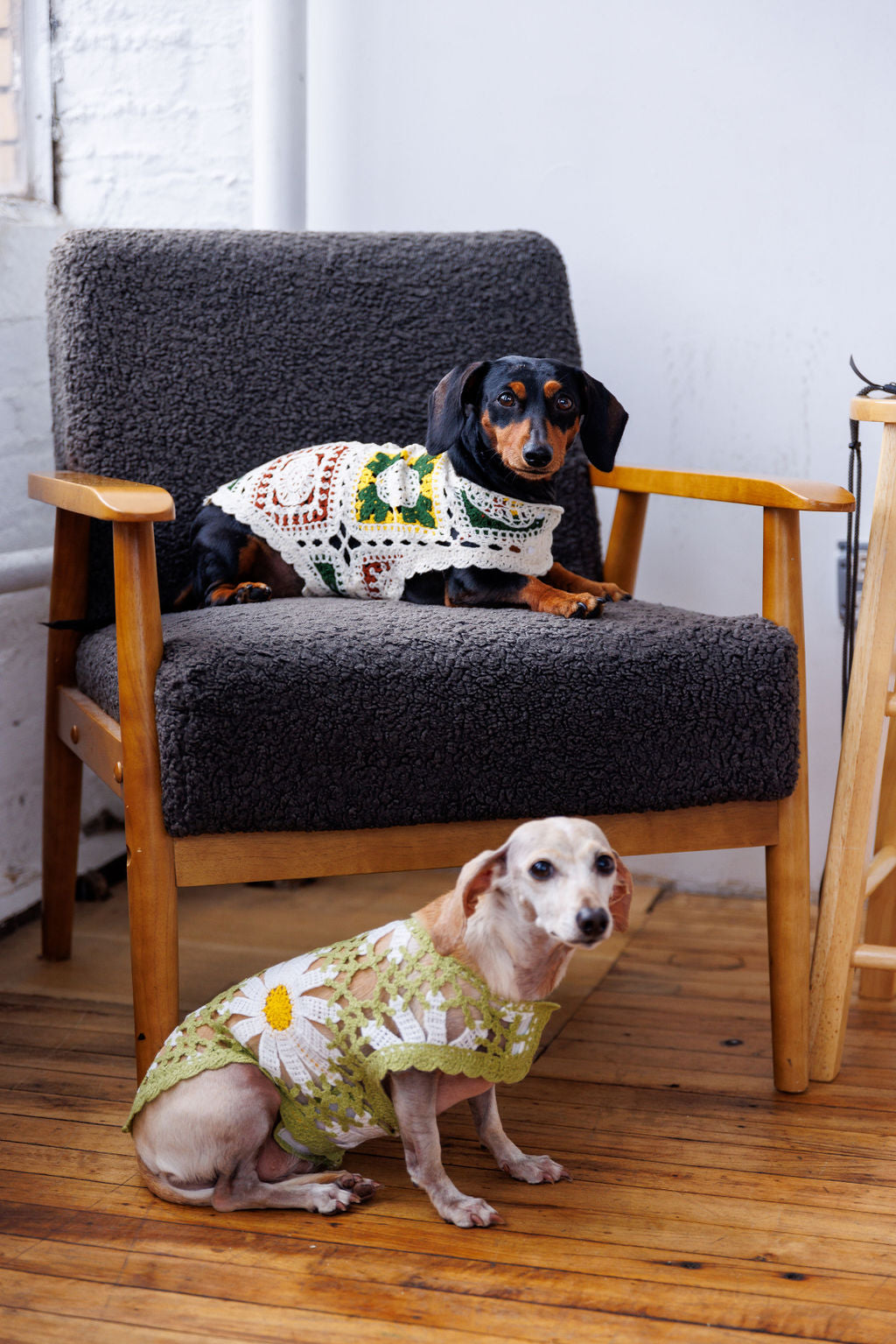 Sunshine Crochet Dog Top