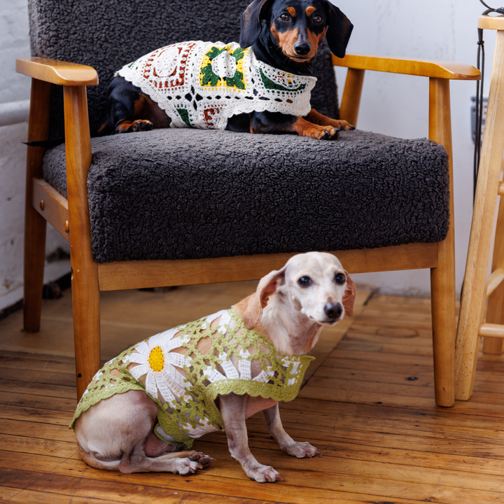 Sunshine Crochet Dog Top, Lightweight Knit Sweater for Small Dogs