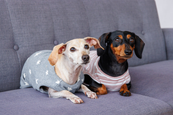 Starry Night Sleeveless Sweater