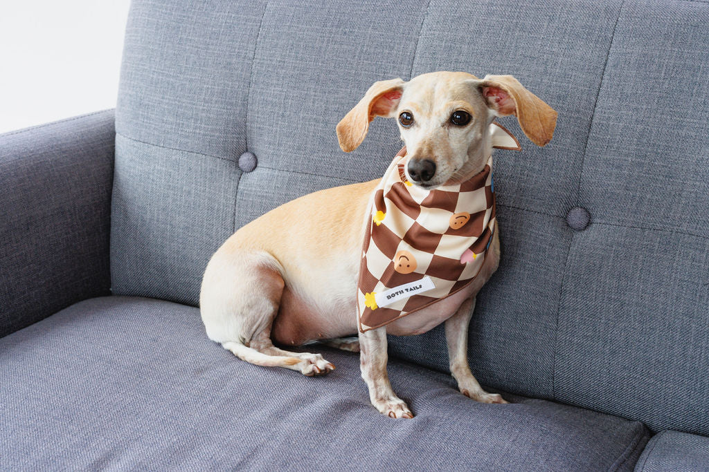 Checkers Dog Bandana