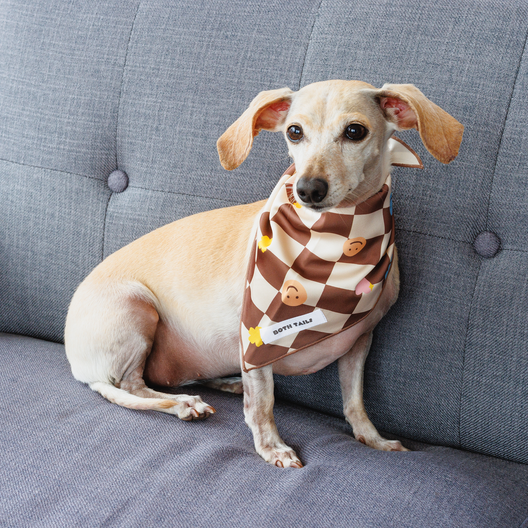 Checkered Dog Bandana, Cute Summer Pet Accessory