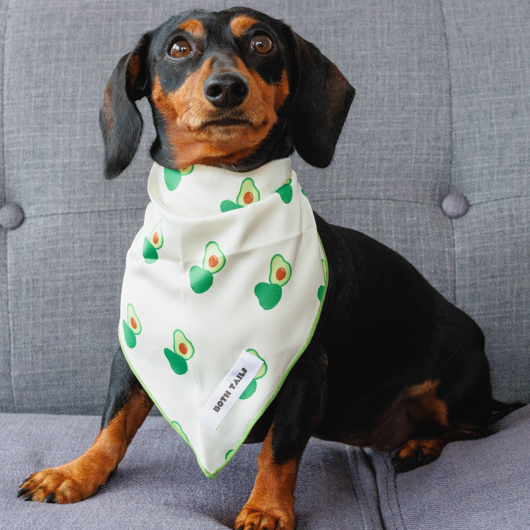 Avocado Print Dog Bandana, Cute Summer Pet Accessory