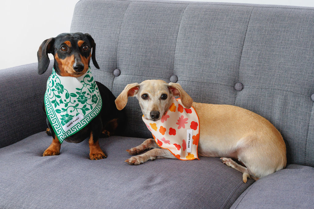 Royal Dog Bandana