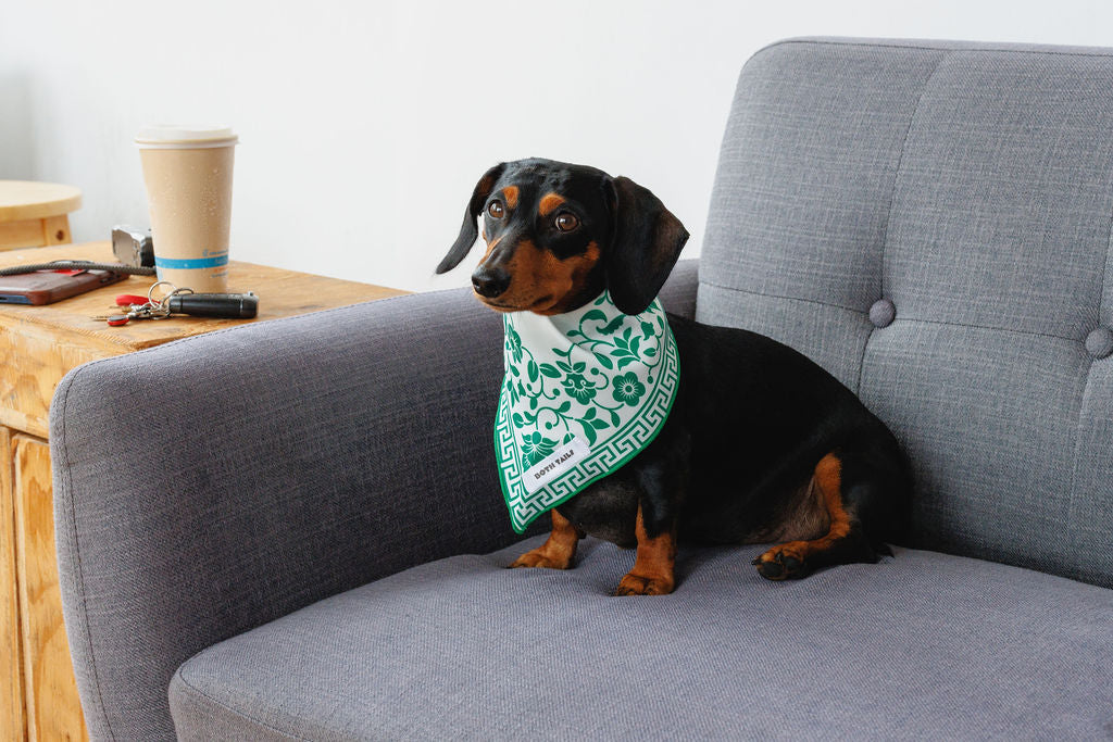 Royal Dog Bandana