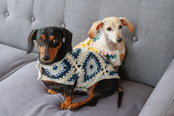 Bubblegum Crochet Dog Top