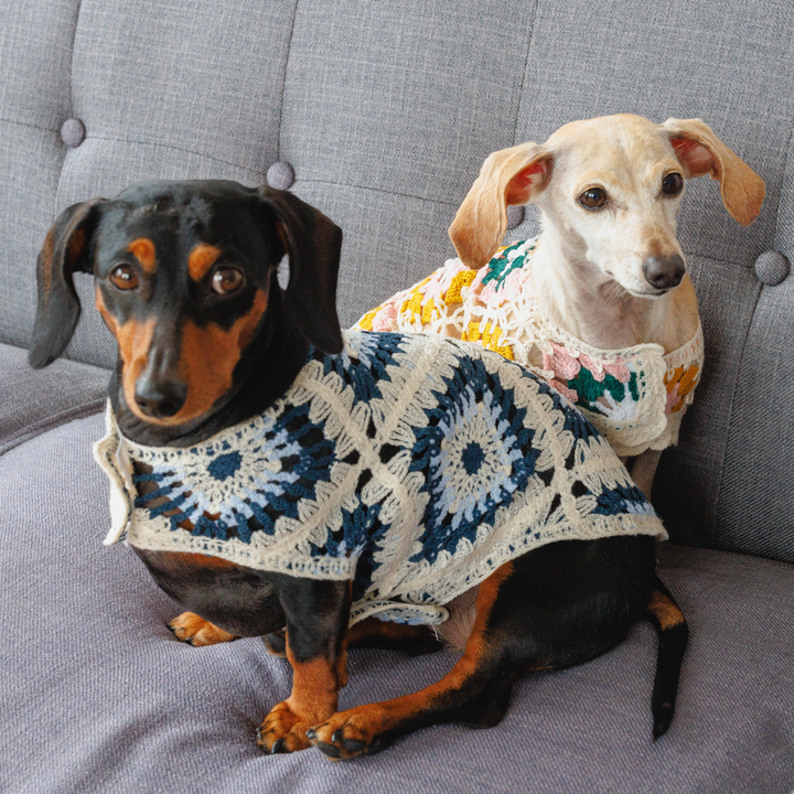 Nazar Crochet Dog Top, Lightweight Knit Sweater