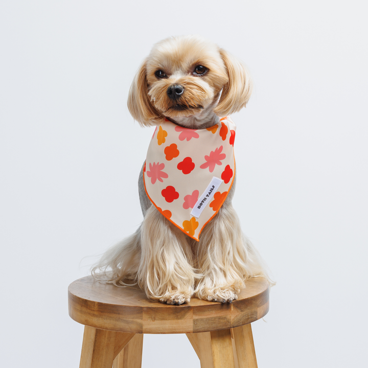Bubbly Dog Bandana, Cute Summer Pet Accessory