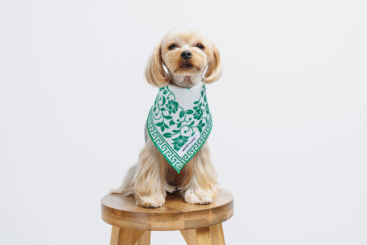 Royal Dog Bandana