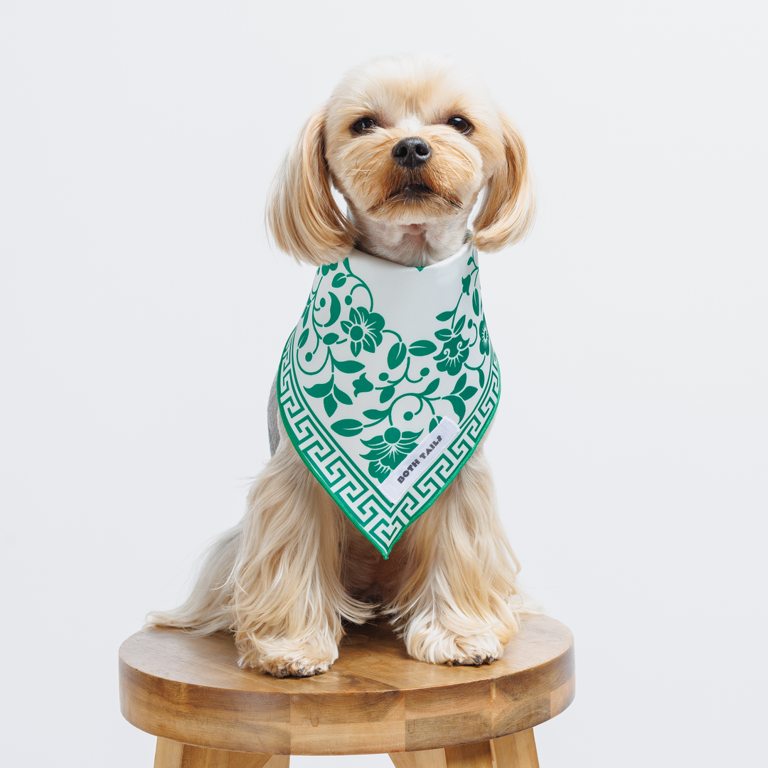Royal Green Dog Bandana, Summer Pet Accessory