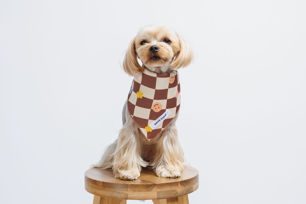 Checkers Dog Bandana