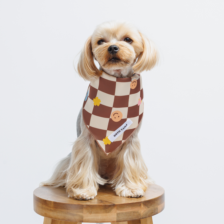Checkered Dog Bandana, Cute Summer Pet Accessory