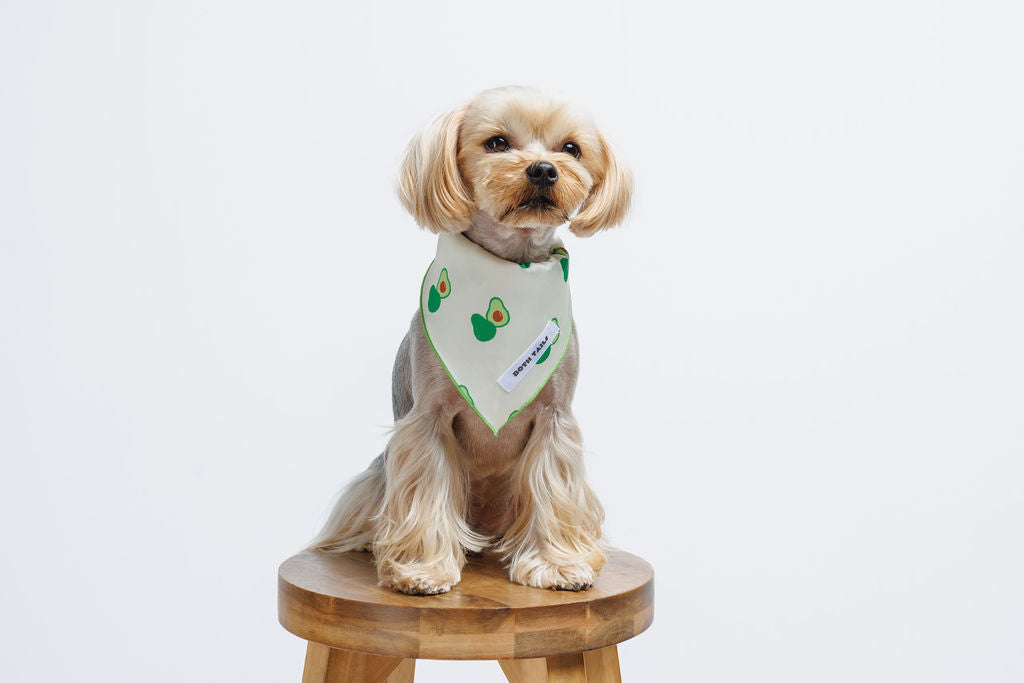 Avocado Dog Bandana