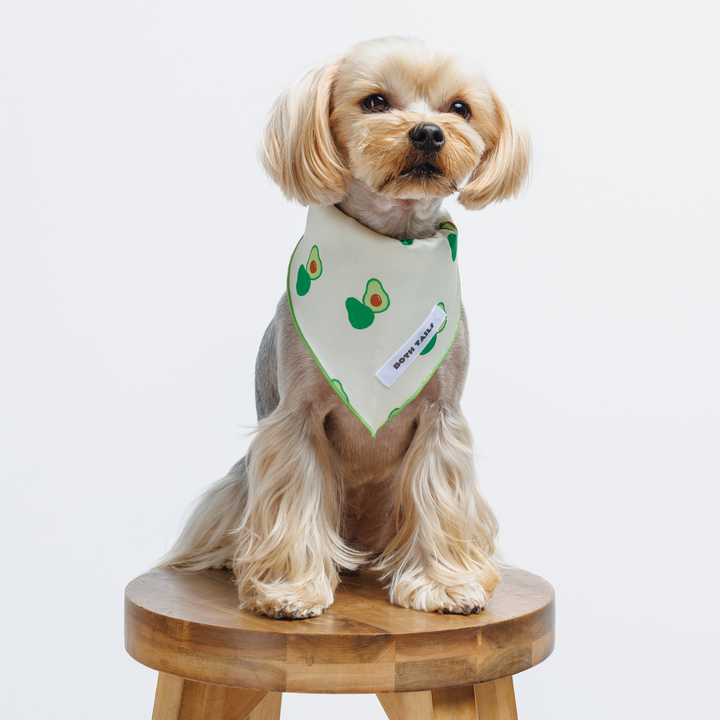 Avocado Print Dog Bandana, Cute Summer Pet Accessory