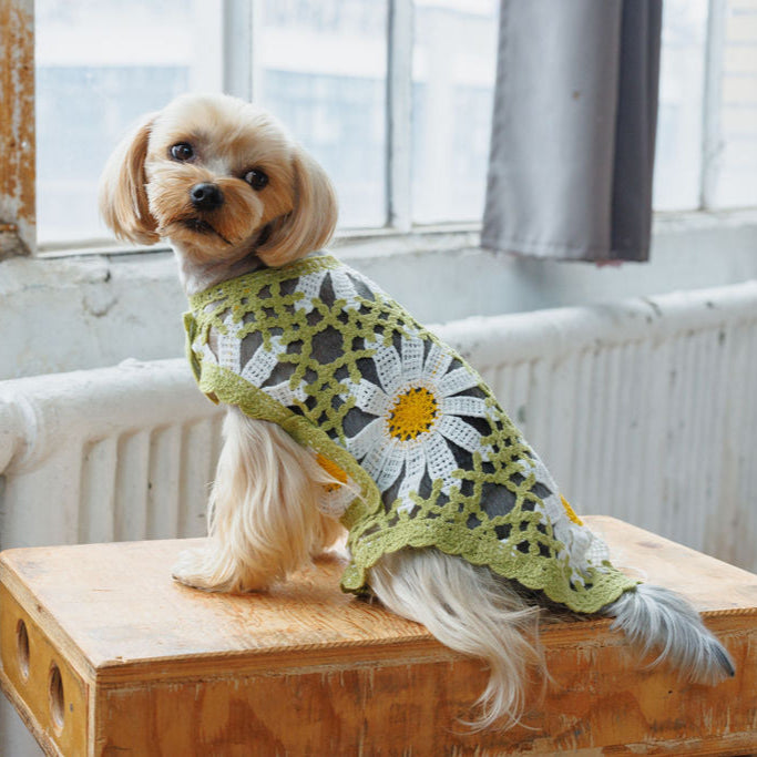 Sunshine Crochet Dog Top: Dog Summer Clothes | Both Tails