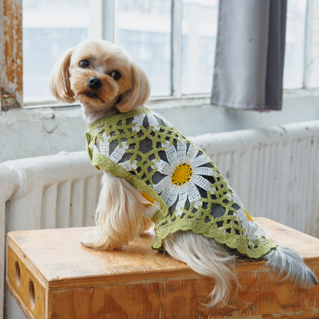 Sunshine Crochet Dog Top: Dog Summer Clothes | Both Tails Sunshine Crochet Dog Top: Dog Summer Clothes | Both Tails