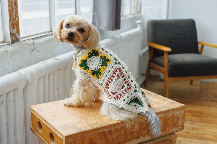 Cherry Crochet Dog Top