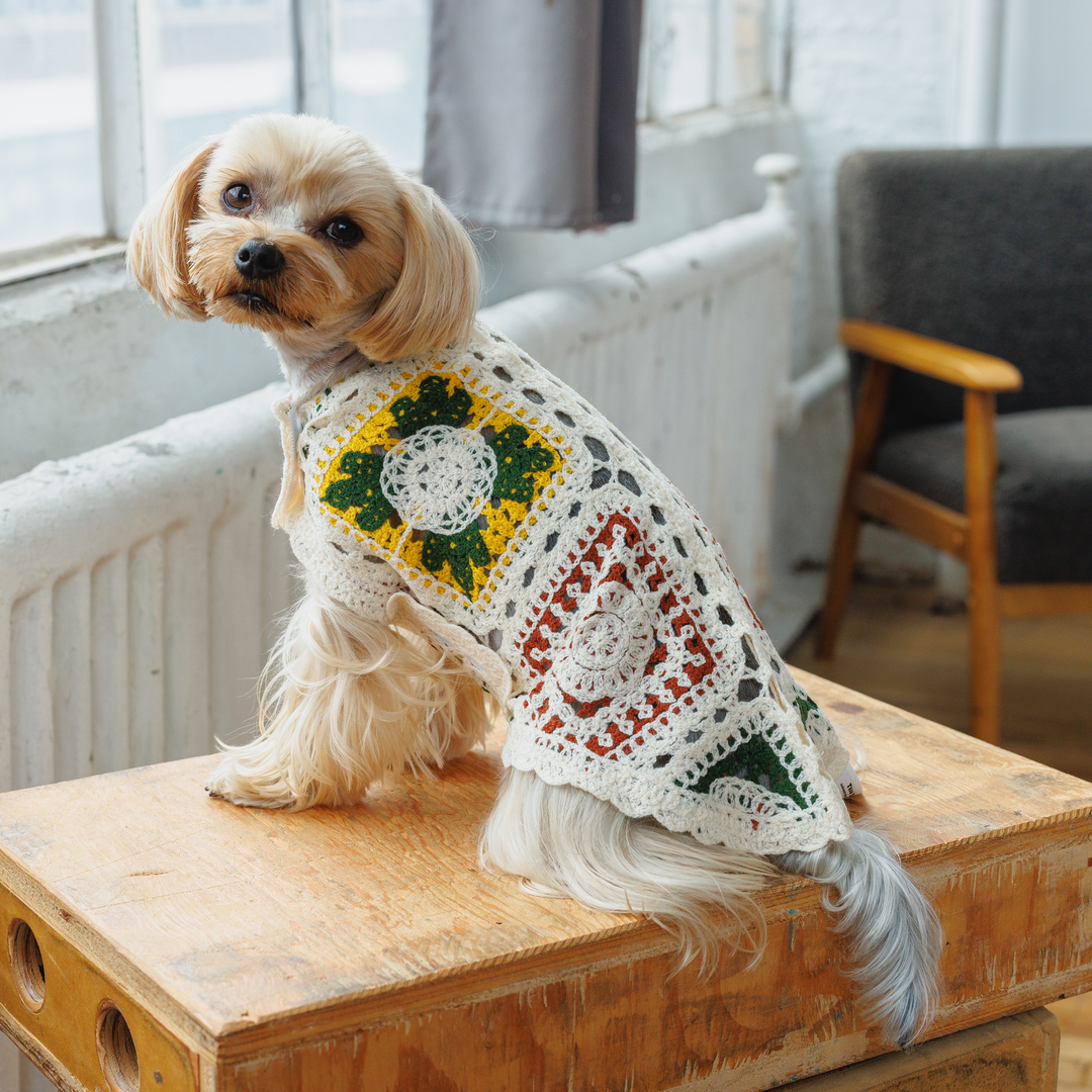 Cherry Crochet Dog Top, Granny Square Knit Sweater for Small Dogs