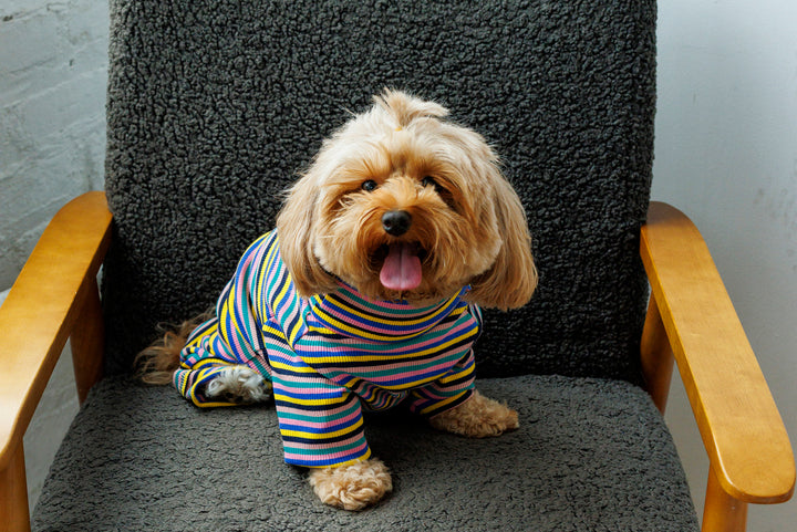 Sunset Onesie Sweater