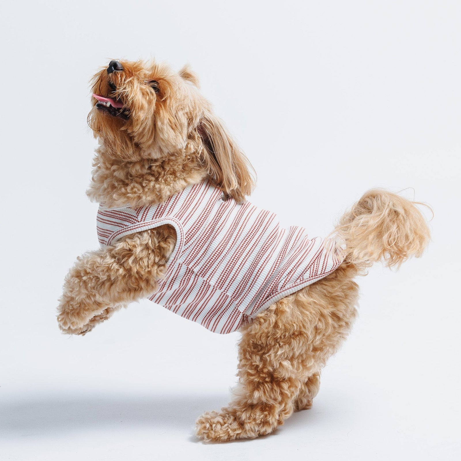 Candy Cane sleeveless dog sweater in red