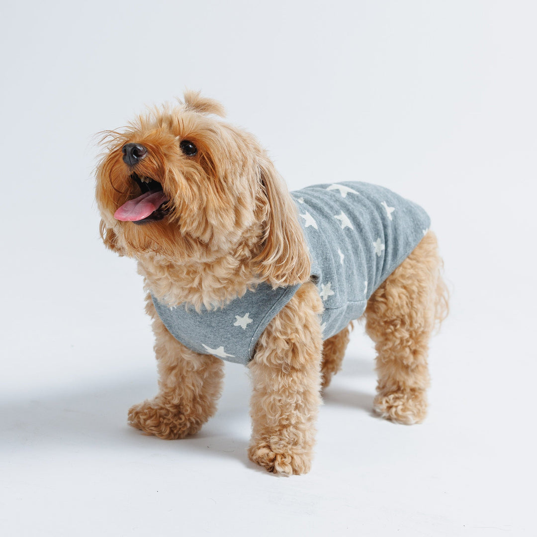 Starry Night sleeveless dog sweater in gray