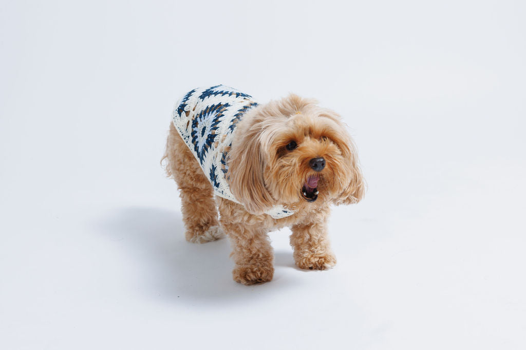 Nazar Crochet Dog Top