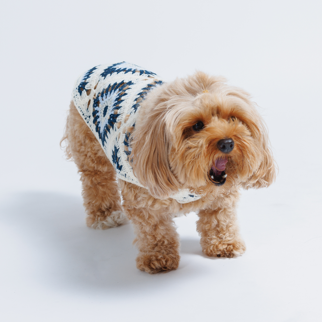Nazar Crochet Dog Top, Lightweight Knit Sweater