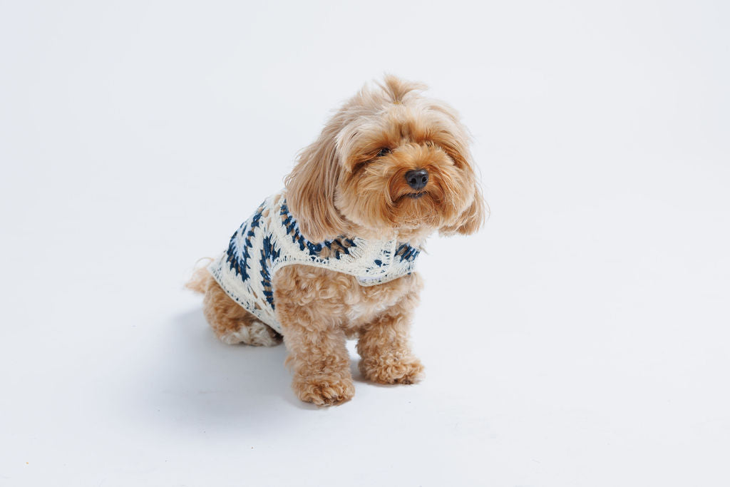 Nazar Crochet Dog Top