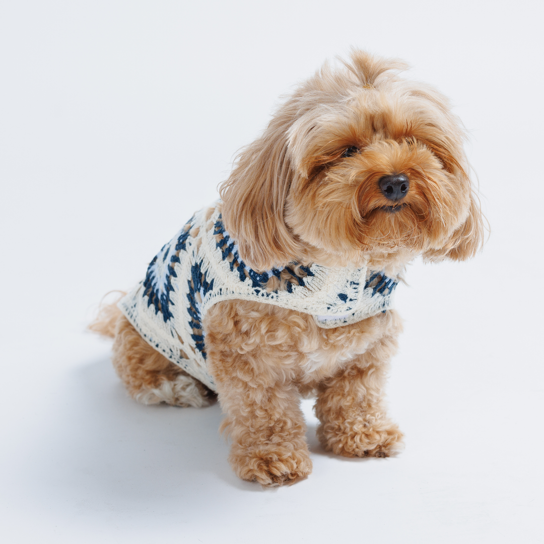 Nazar Crochet Dog Top, Lightweight Knit Sweater