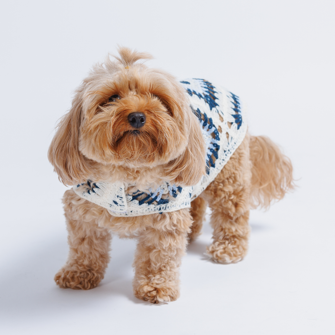 Nazar Crochet Dog Top: Evil Eye Pattern Top For Dogs | Both Tails