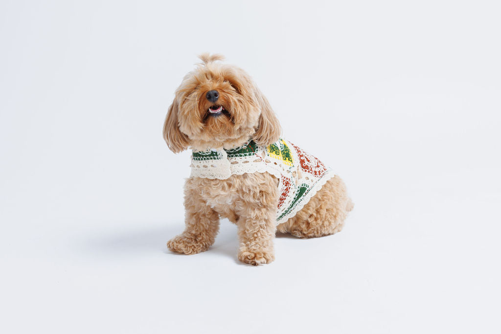 Cherry Crochet Dog Top