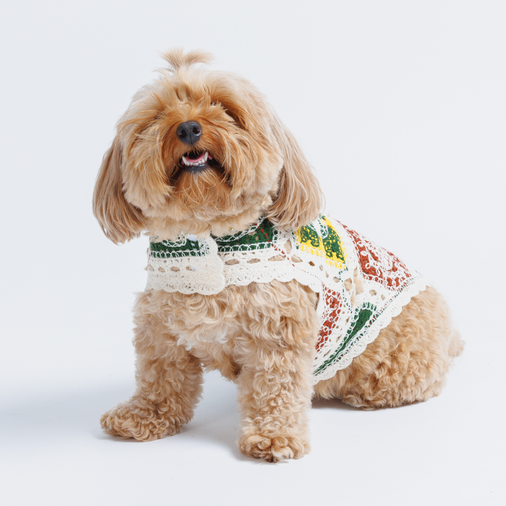 Cherry Crochet Dog Top, Granny Square Knit Sweater for Small Dogs