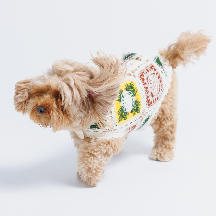 Cherry Crochet Dog Top, Granny Square Knit Sweater for Small Dogs
