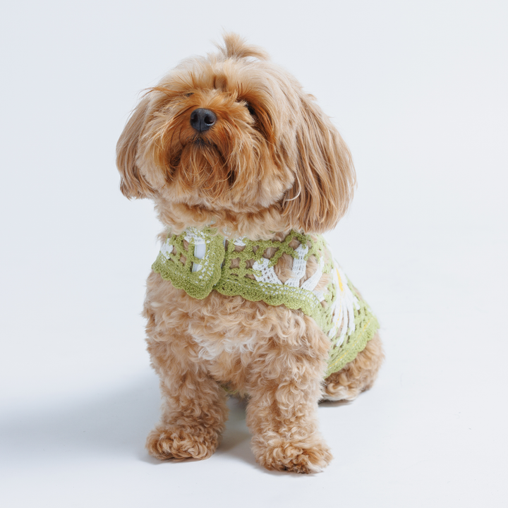 Sunshine Crochet Dog Top, Lightweight Knit Sweater for Small Dogs