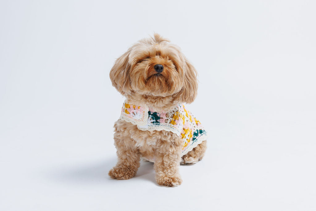 Bubblegum Crochet Dog Top