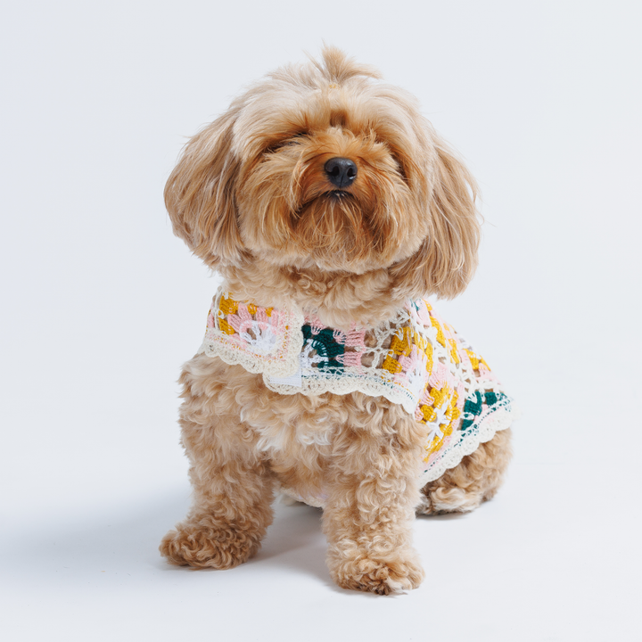 Bubblegum Crochet Dog Top, Colorful Knit Sweater for Small Dogs
