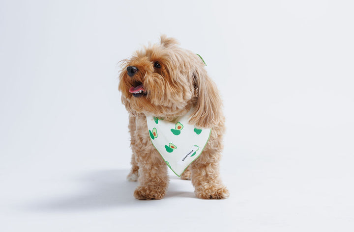 Avocado Dog Bandana