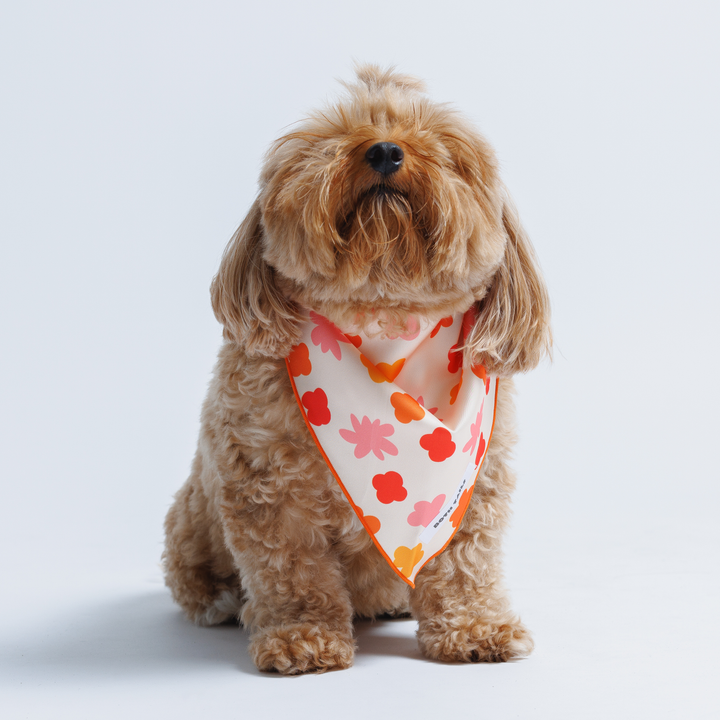 Bubbly Dog Bandana, Cute Summer Pet Accessory
