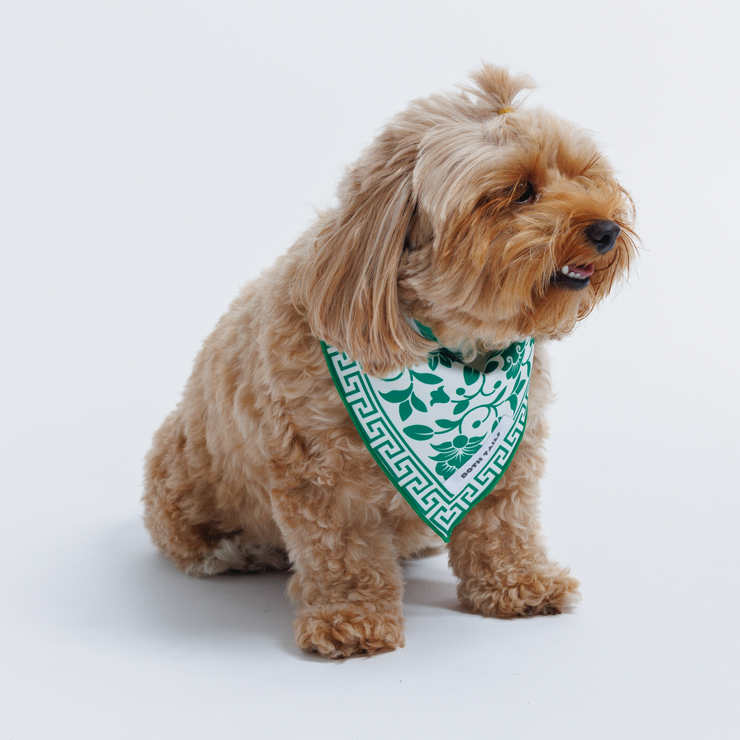 Royal Green Dog Bandana, Summer Pet Accessory