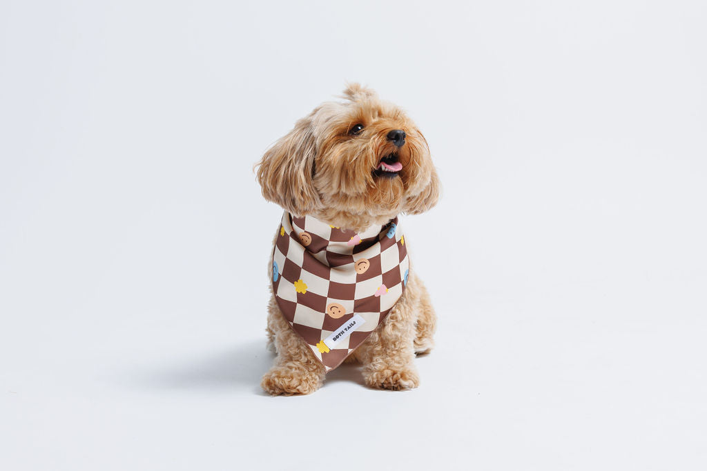 Checkers Dog Bandana