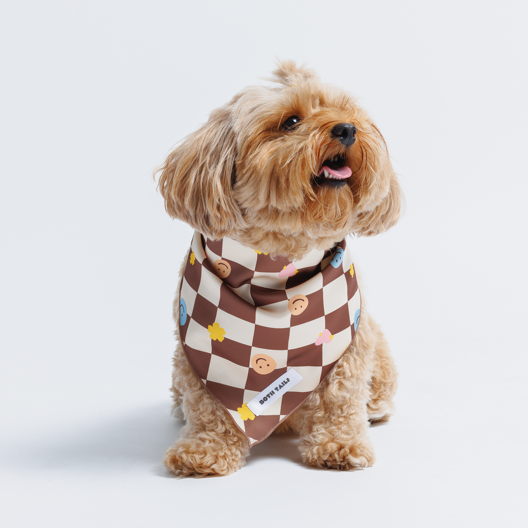 Checkered Dog Bandana, Cute Summer Pet Accessory