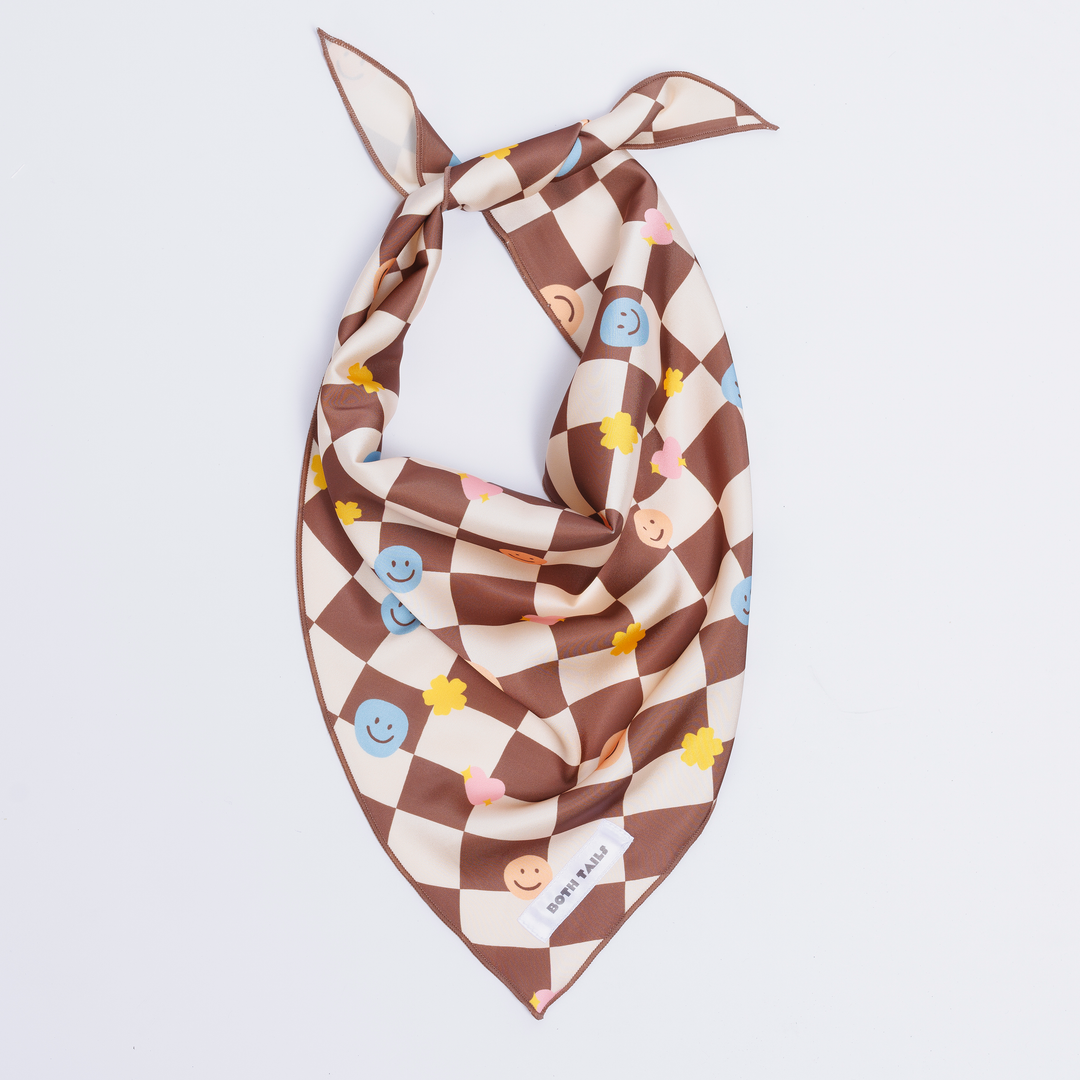 Checkered Dog Bandana, Cute Summer Pet Accessory