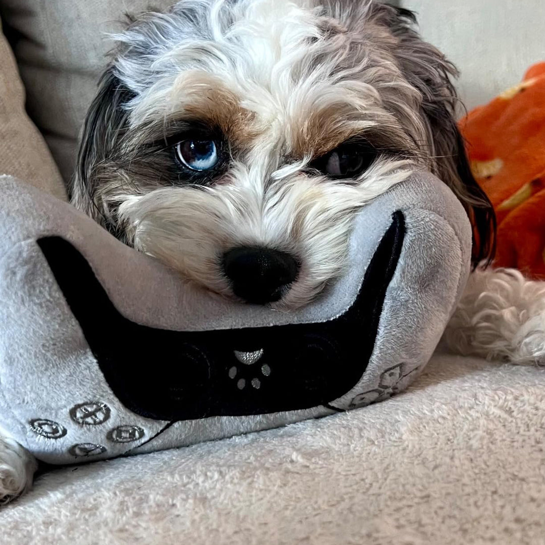 Video Game Controller Dog Toy with Squeaker