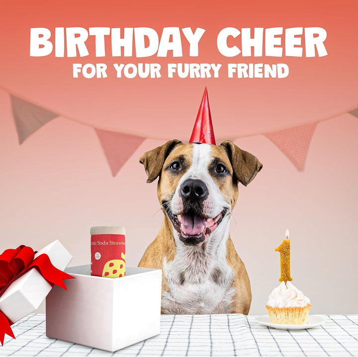 Puppi Soda Can Dog Toy with Squeaker