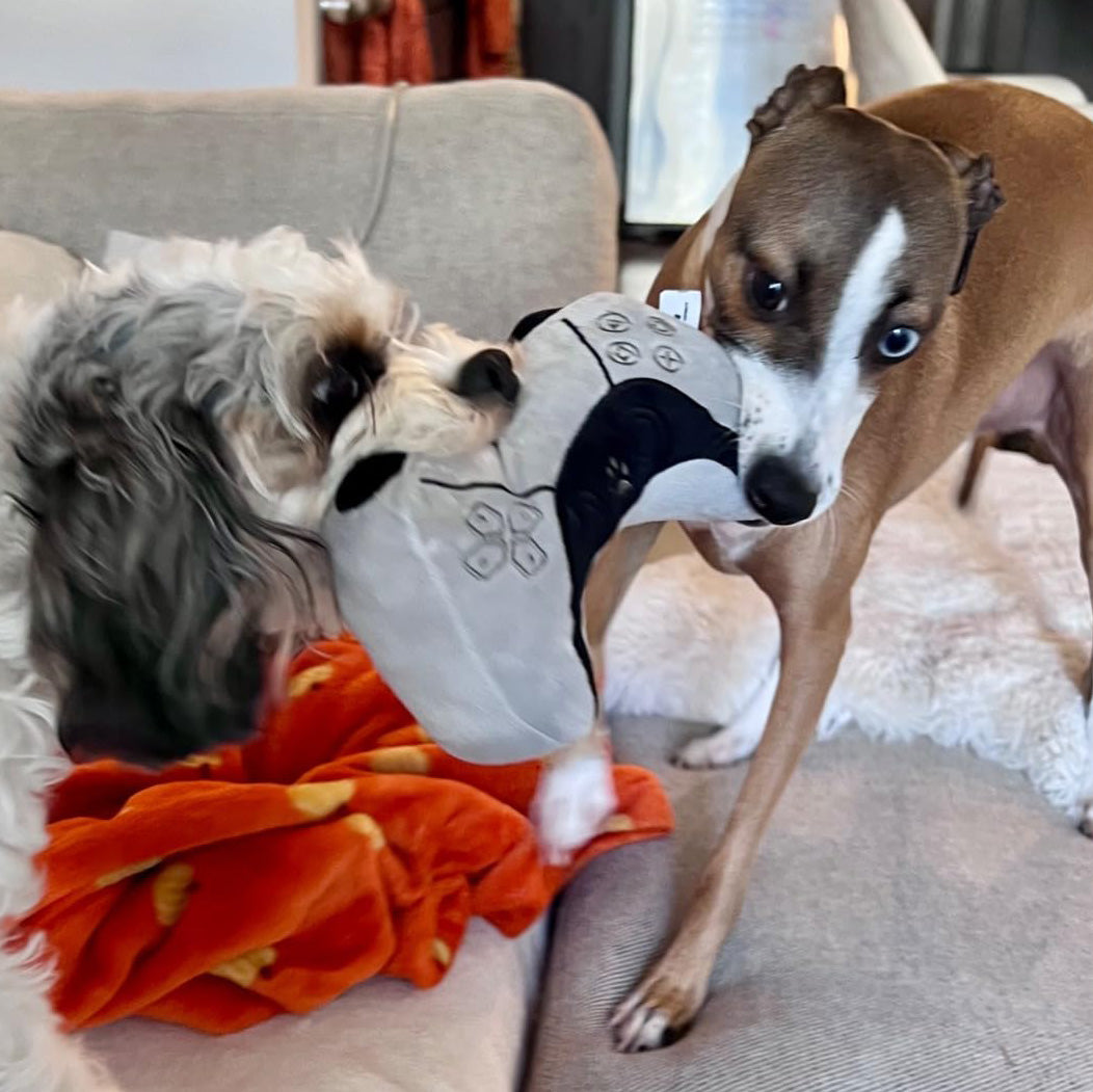 Video Game Controller Dog Toy with Squeaker