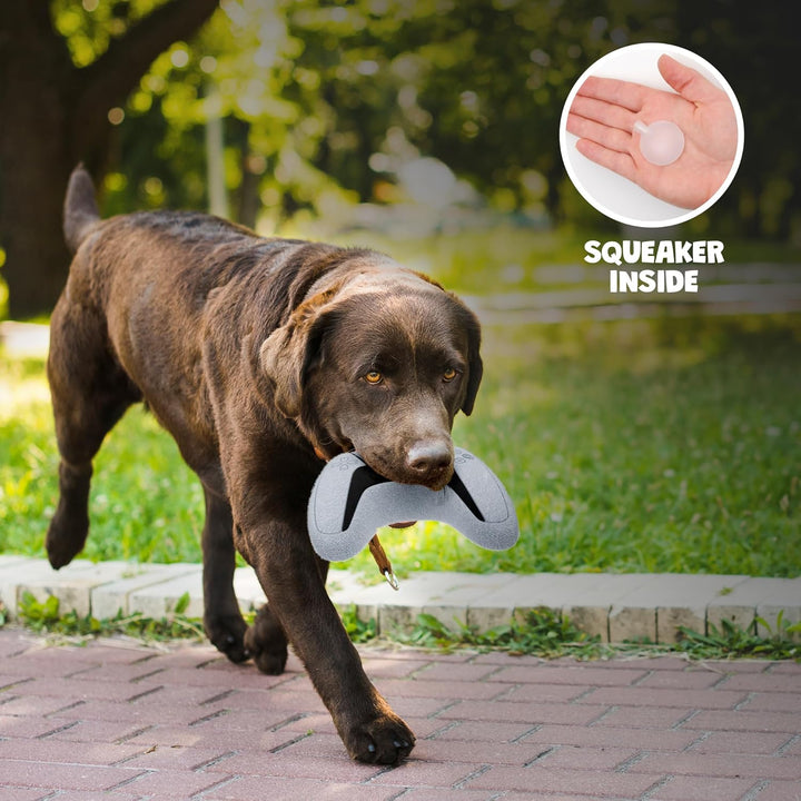 Video Game Controller Dog Toy with Squeaker