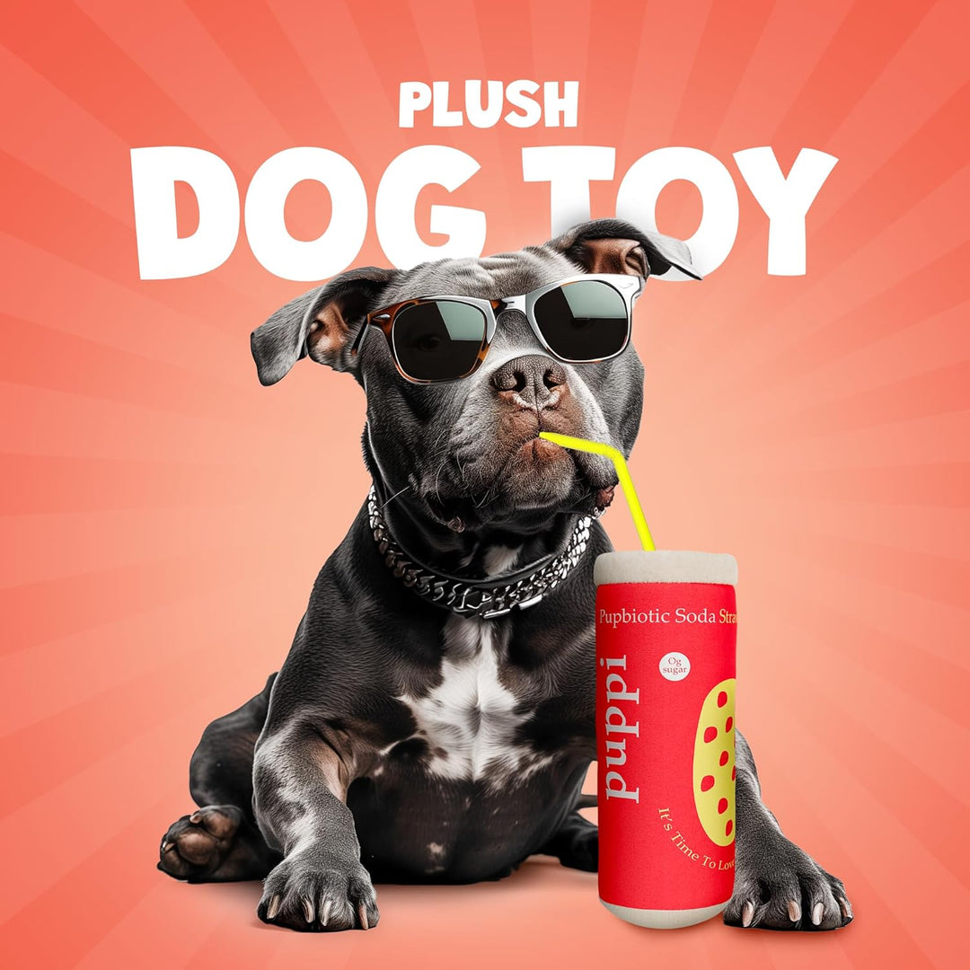 Puppi Soda Can Dog Toy with Squeaker