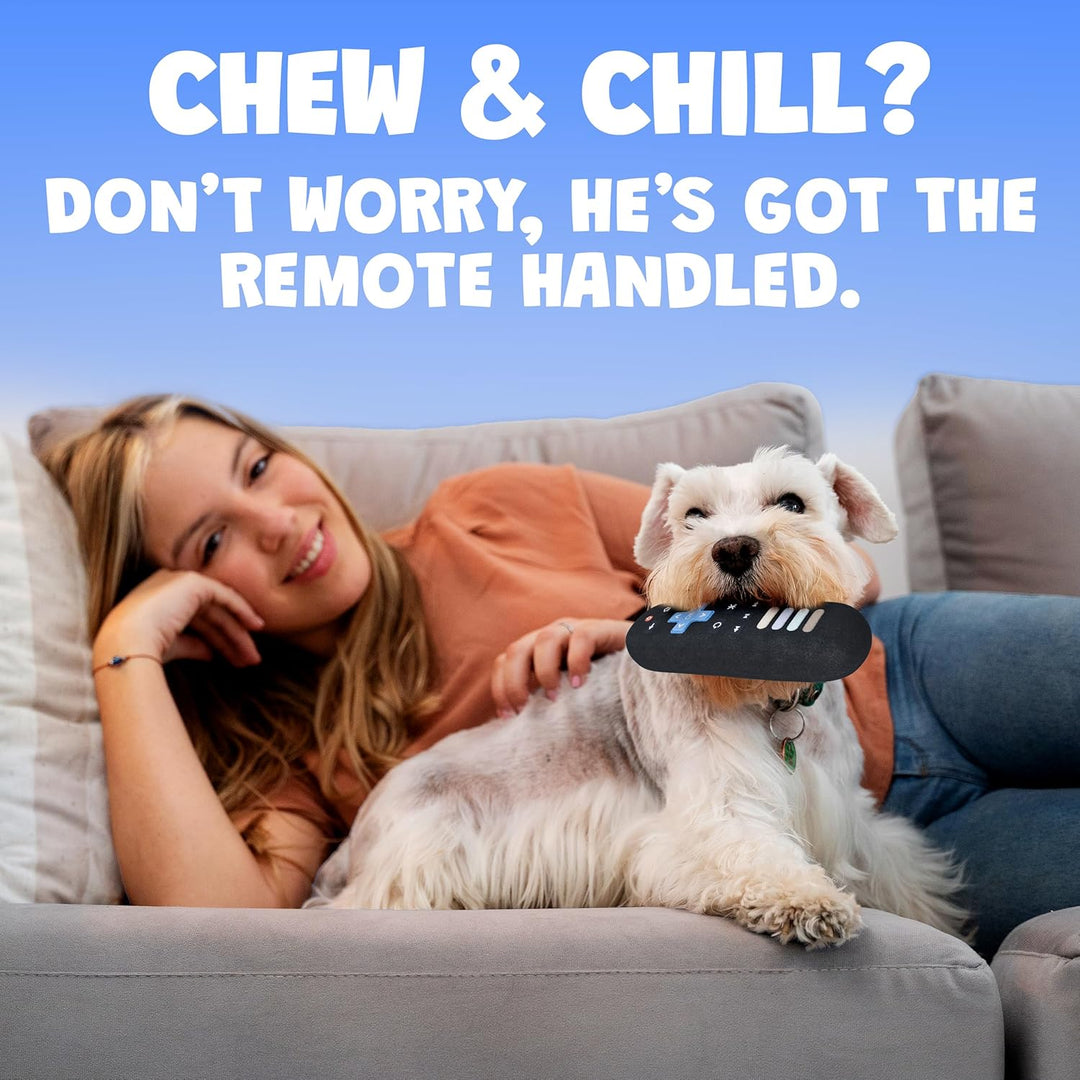 TV Remote Dog Toy with Squeaker for All Dog Sizes