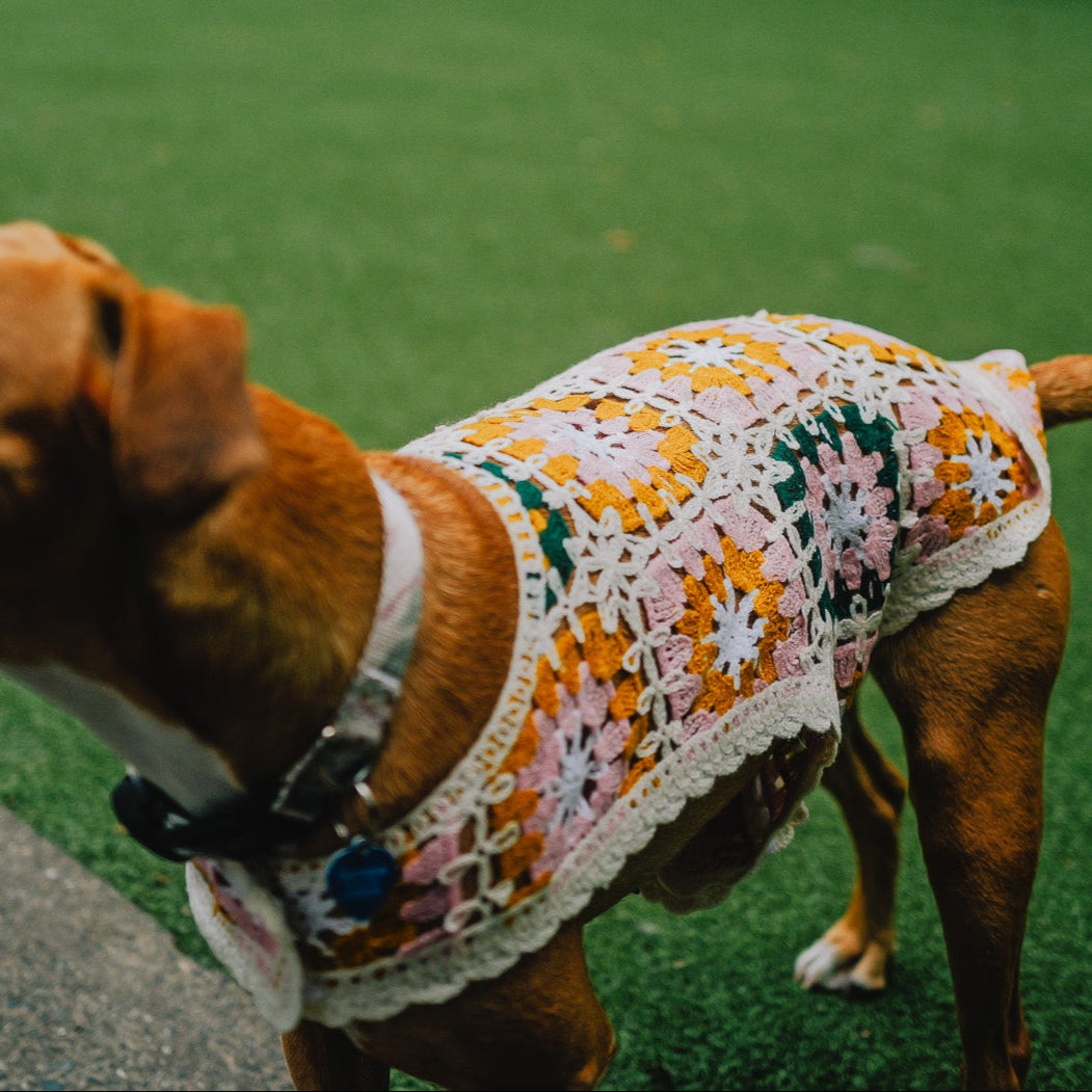Bubblegum Crochet Dog Top: Colorful And Playful Top | Both Tails