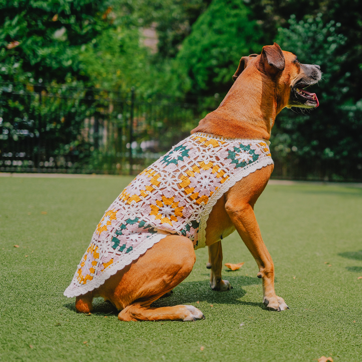 Bubblegum Crochet Dog Top, Colorful Knit Sweater for Small Dogs
